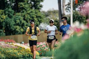 BIB: 
                            <button type="button" onclick="openModal(25972453)" class="btn btn-primary btn-sm float-right btn-popup" data-toggle="modal" data-target=".modal-high-quality">
                        <i class="fas fa-shopping-cart"></i> Add to Cart
                    </button>
                                            <button type="button" onclick="isThisMe(25972453, true)" class="btn btn-success btn-sm float-right btn-popup btn-isme hidden" data-toggle="tooltip" data-placement="bottom" title="นี่คือรูปของคุณใช่ไหม คลิกที่นี่เพื่อเอาเข้าอัลบั้ม">
                        <i class="fas fa-plus"></i> Add to album
                    </button>
                    <button type="button" onclick="isThisMe(25972453, false)" class="btn btn-warning btn-sm float-right btn-popup btn-isnotme hidden">
                        <i class="fas fa-ban"></i> Remove from album
                    </button>